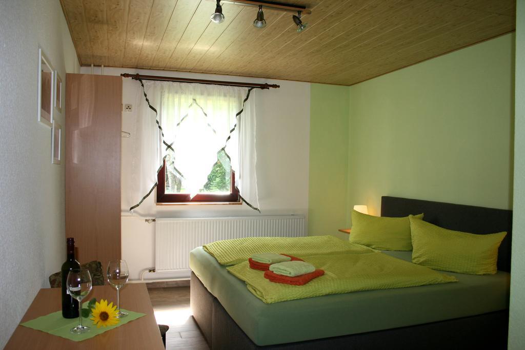 Pension Waldschanke Geyer Экстерьер фото